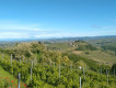 Monferrato's vineyards by ebike