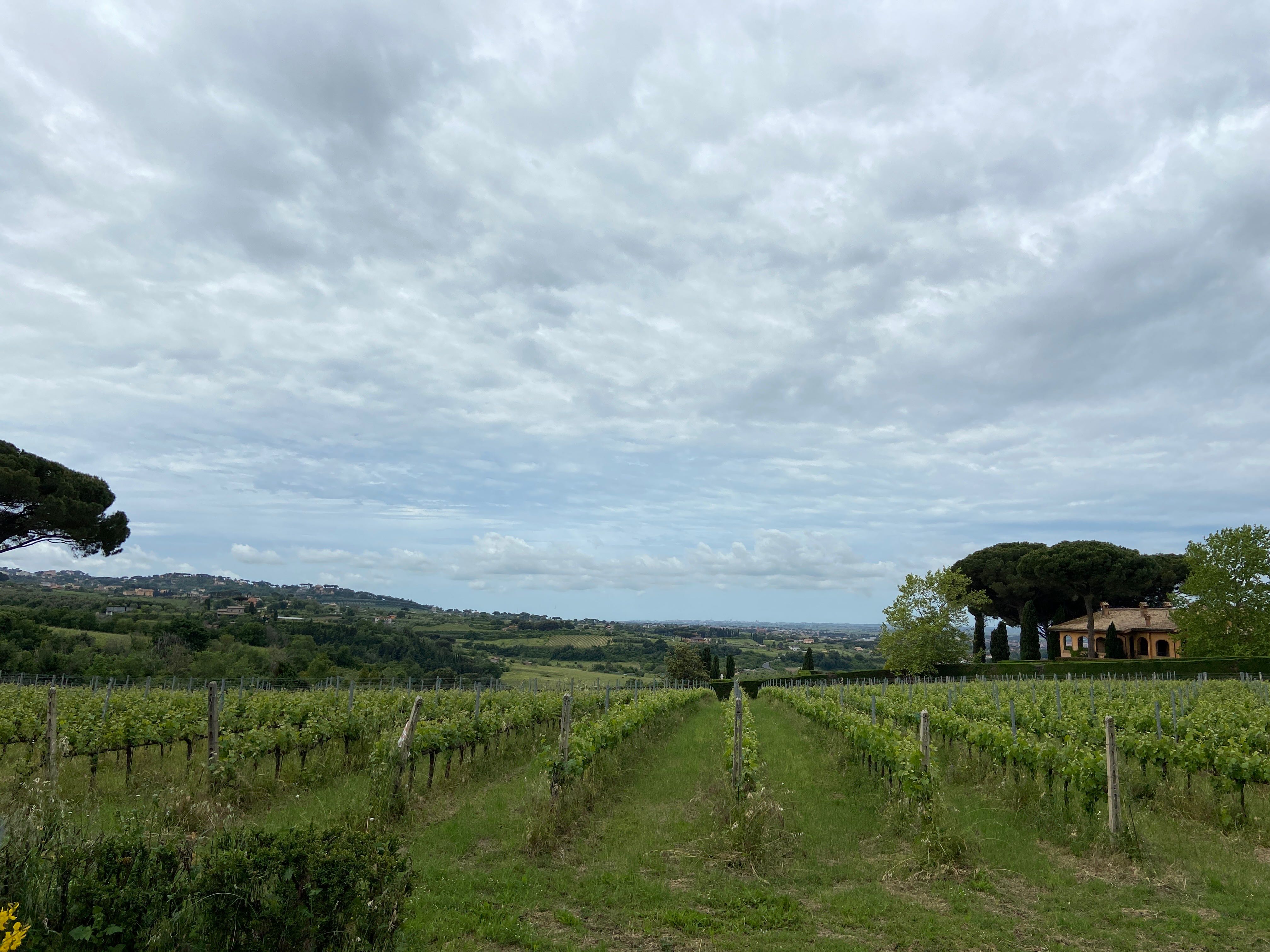 Valle Marciana e i suoi vini 