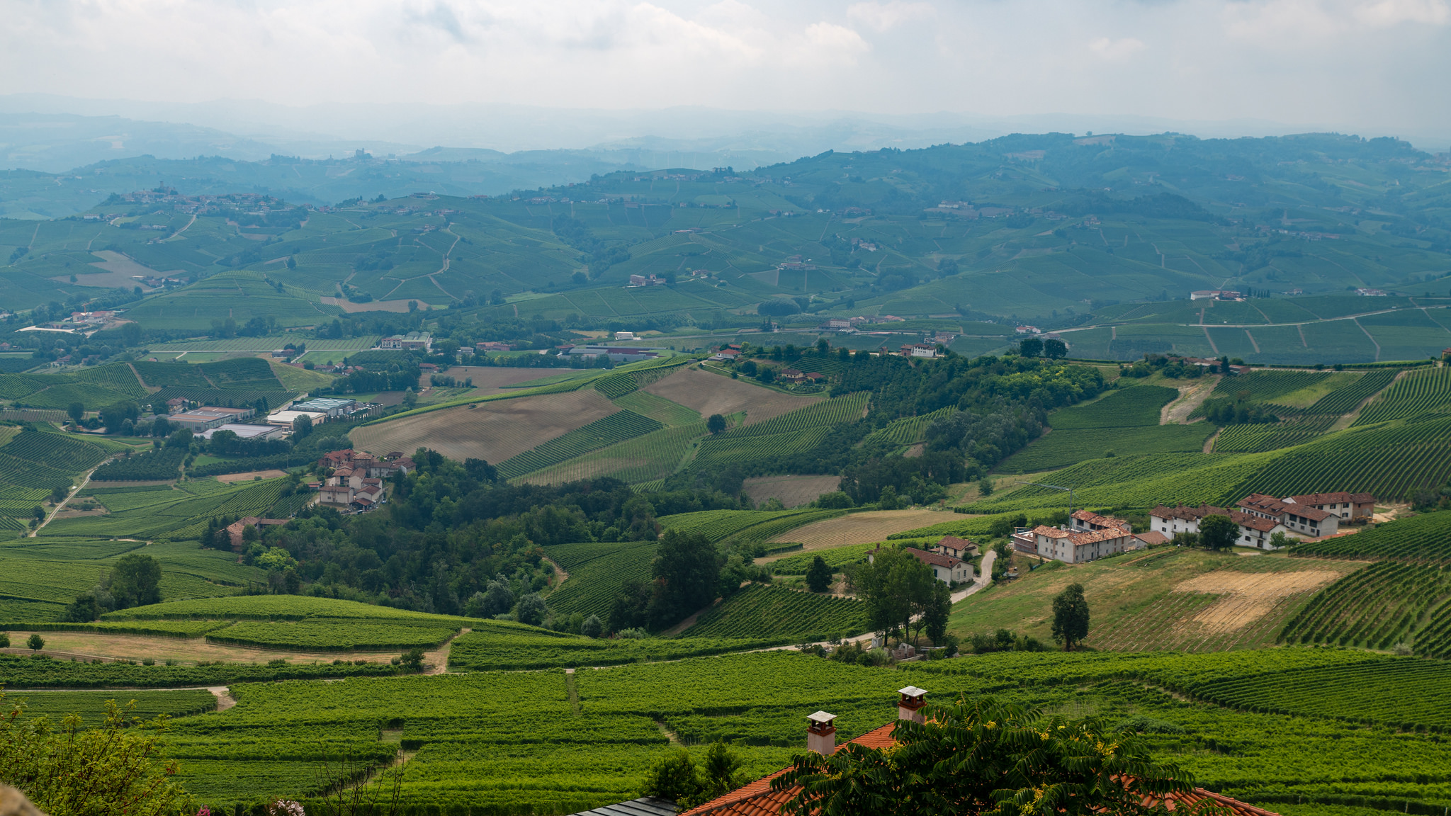 Scoprire i tesori di La Morra in ebike