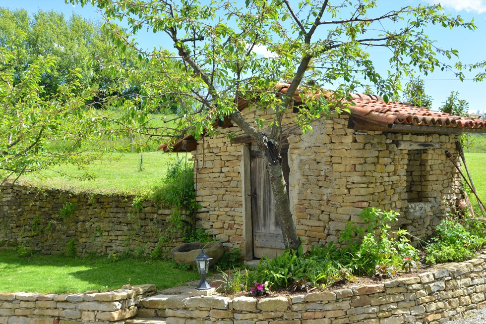 Alta Langa, non solo vigneti