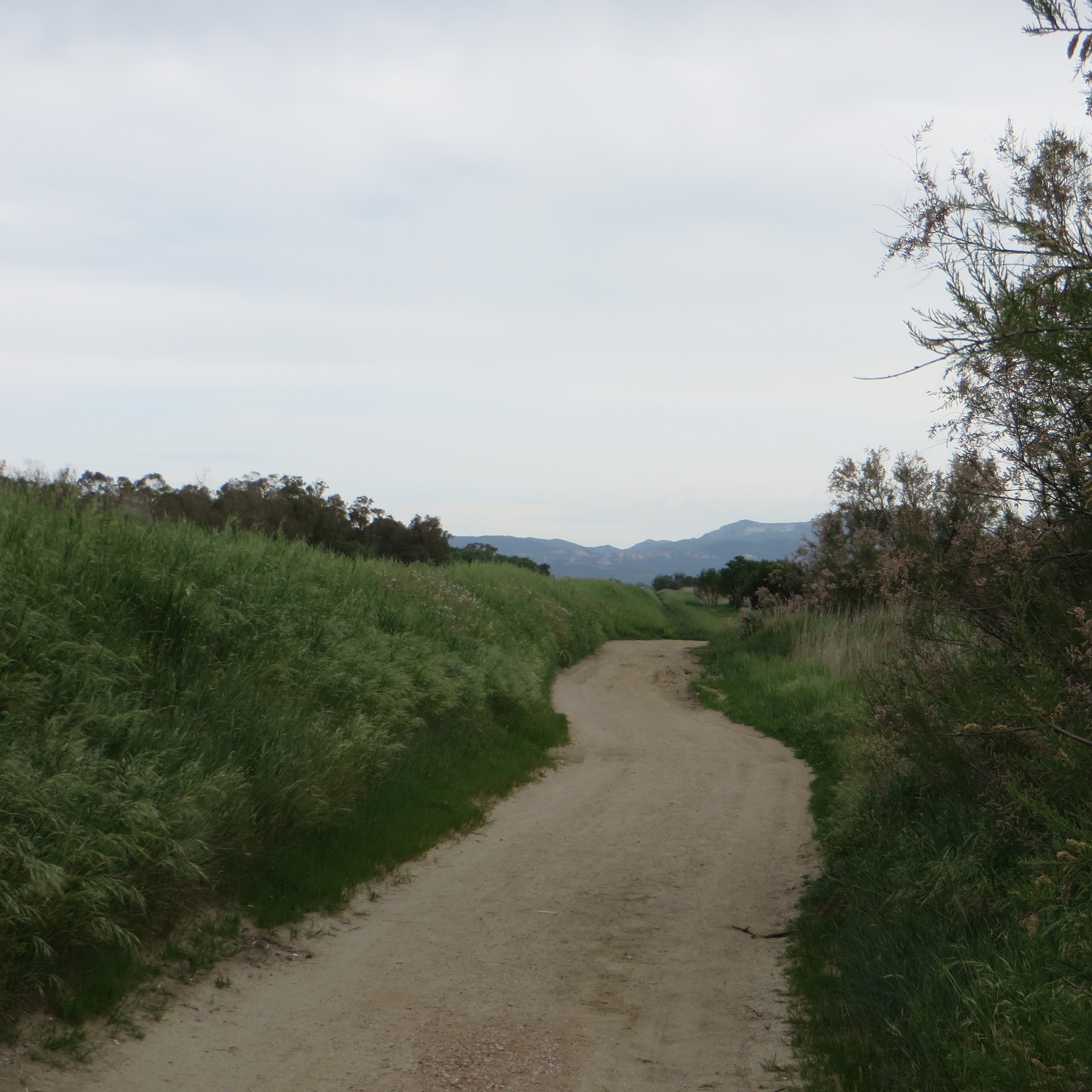 Tour in bici lungo il mare: Scarlino, Follonica e il Parco Costiero della Sterpaia (WWF)
