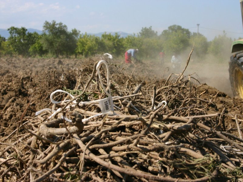 Il tour della Liquirizia
