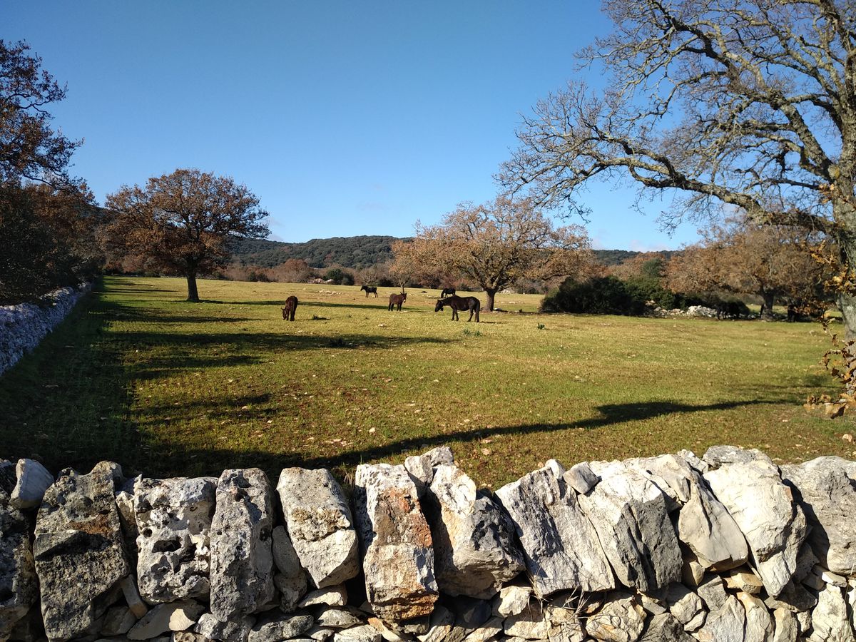 Meravigliosa Valle D'Itria