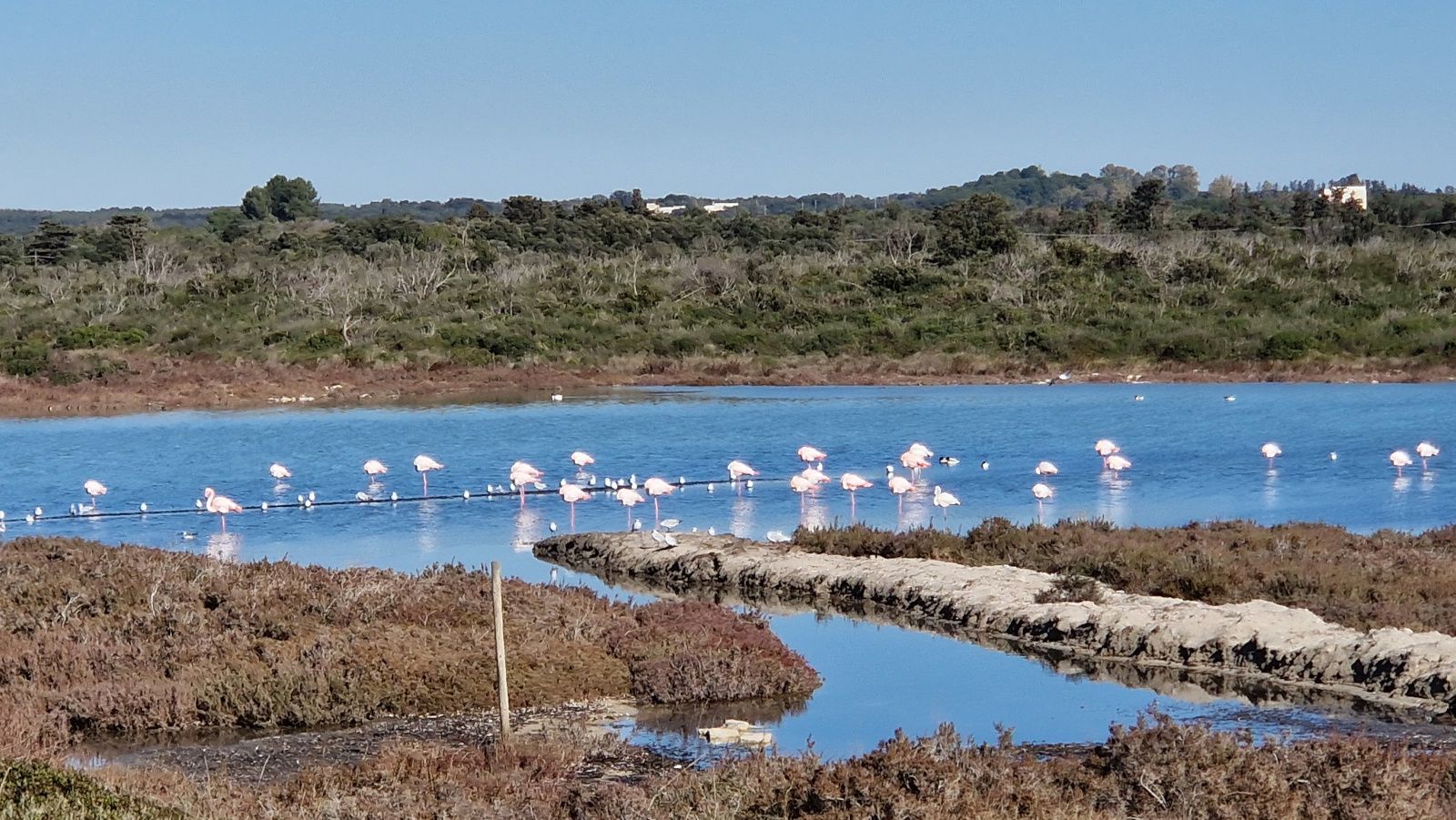 Il tour intorno a Manduria alla scoperta delle risorgive e della Salina dei Monaci