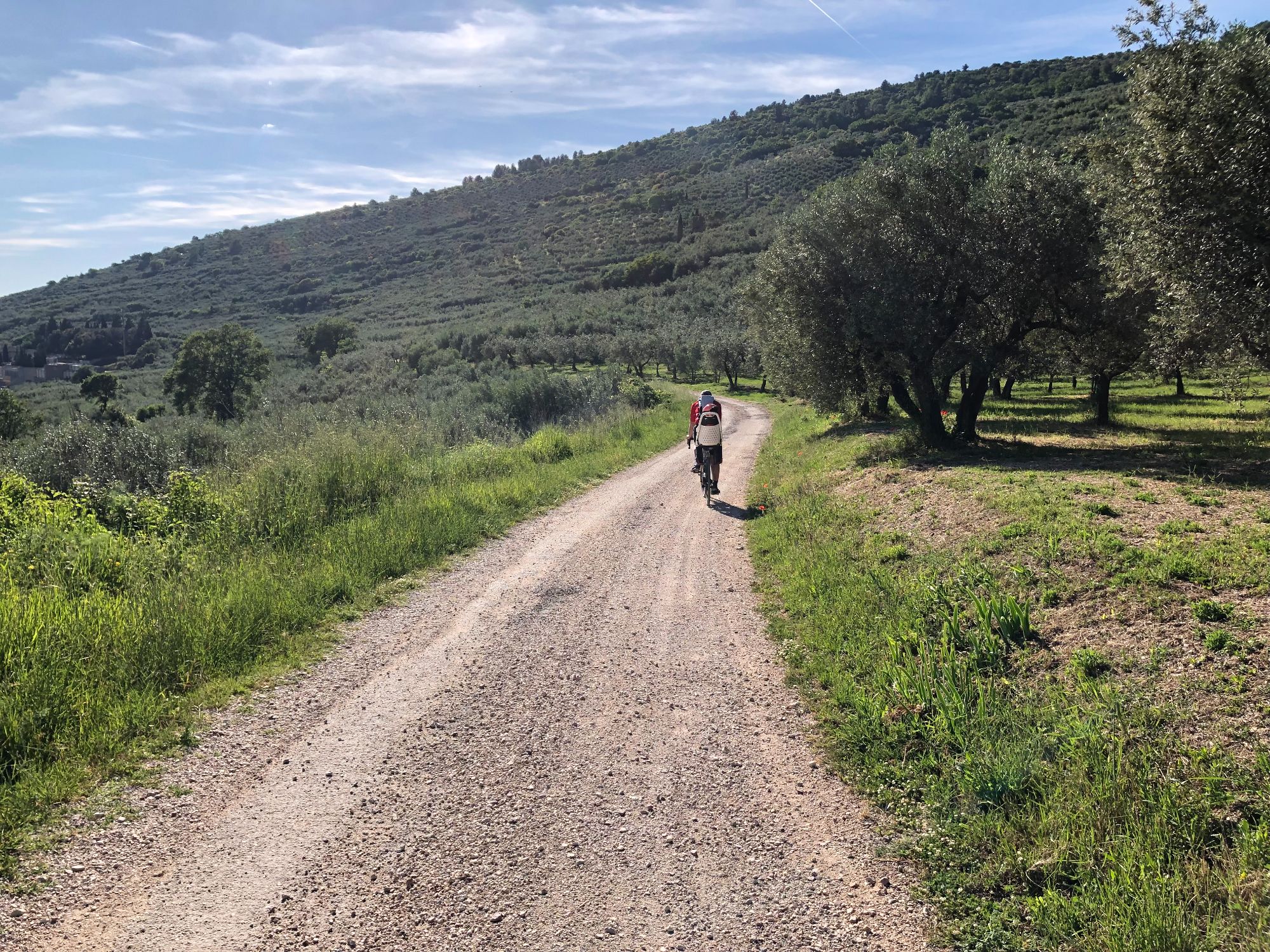 A sud-est del monte Subasio e i boschi intorno a Spello