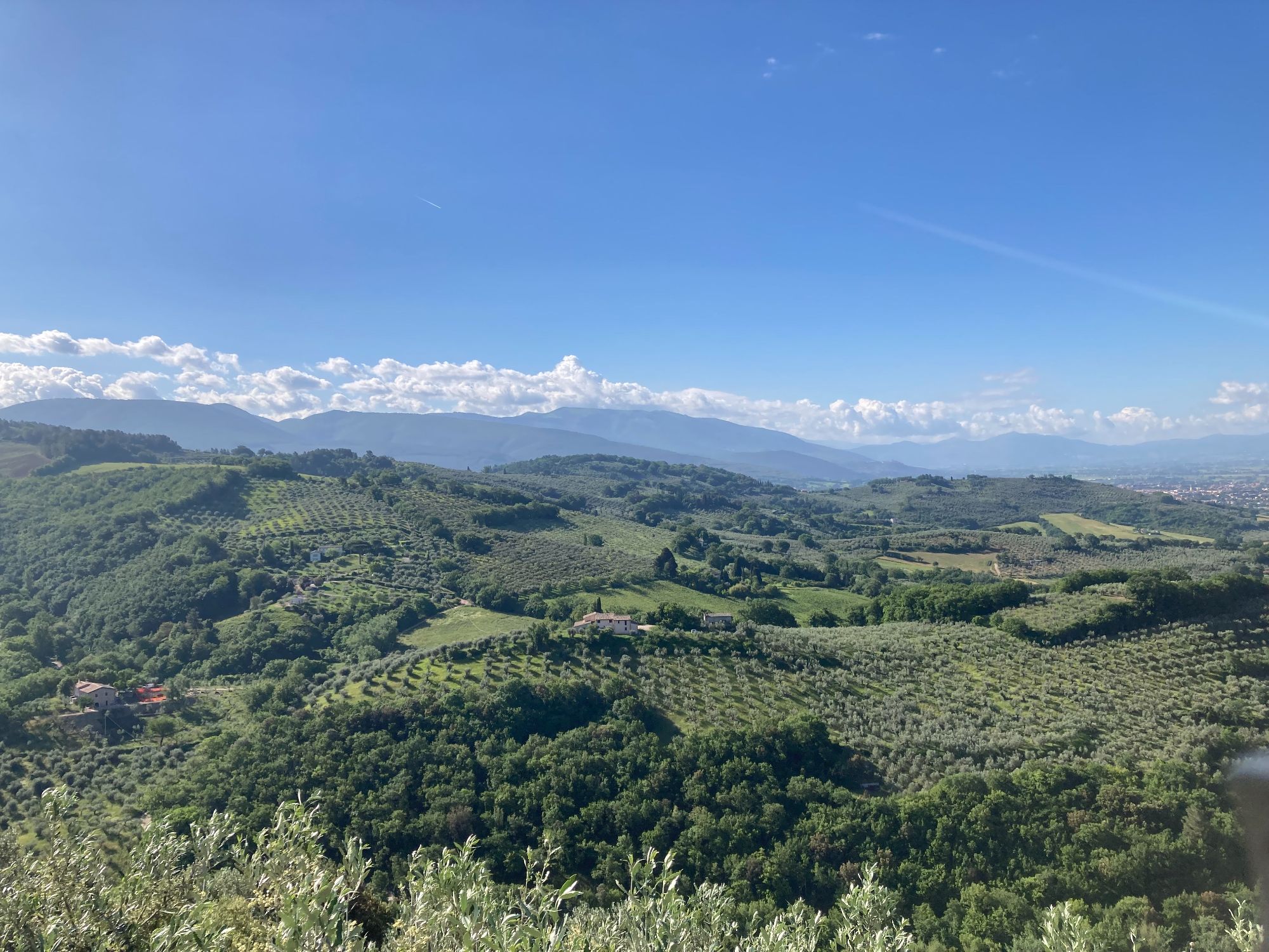 L'itinerario dei prodotti tipici di Spello e su su fino a San Giovanni di Collepino