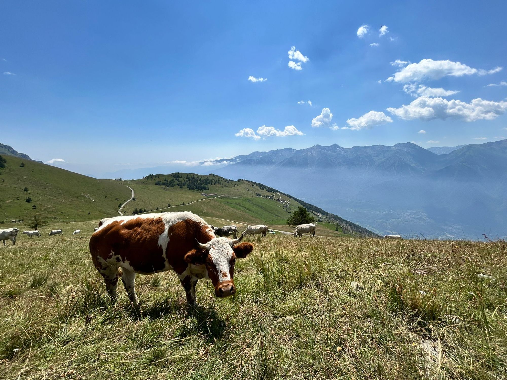 In E-Bike da Susa al Moncenisio: Un'Avventura tra Natura e Sapori di Montagna