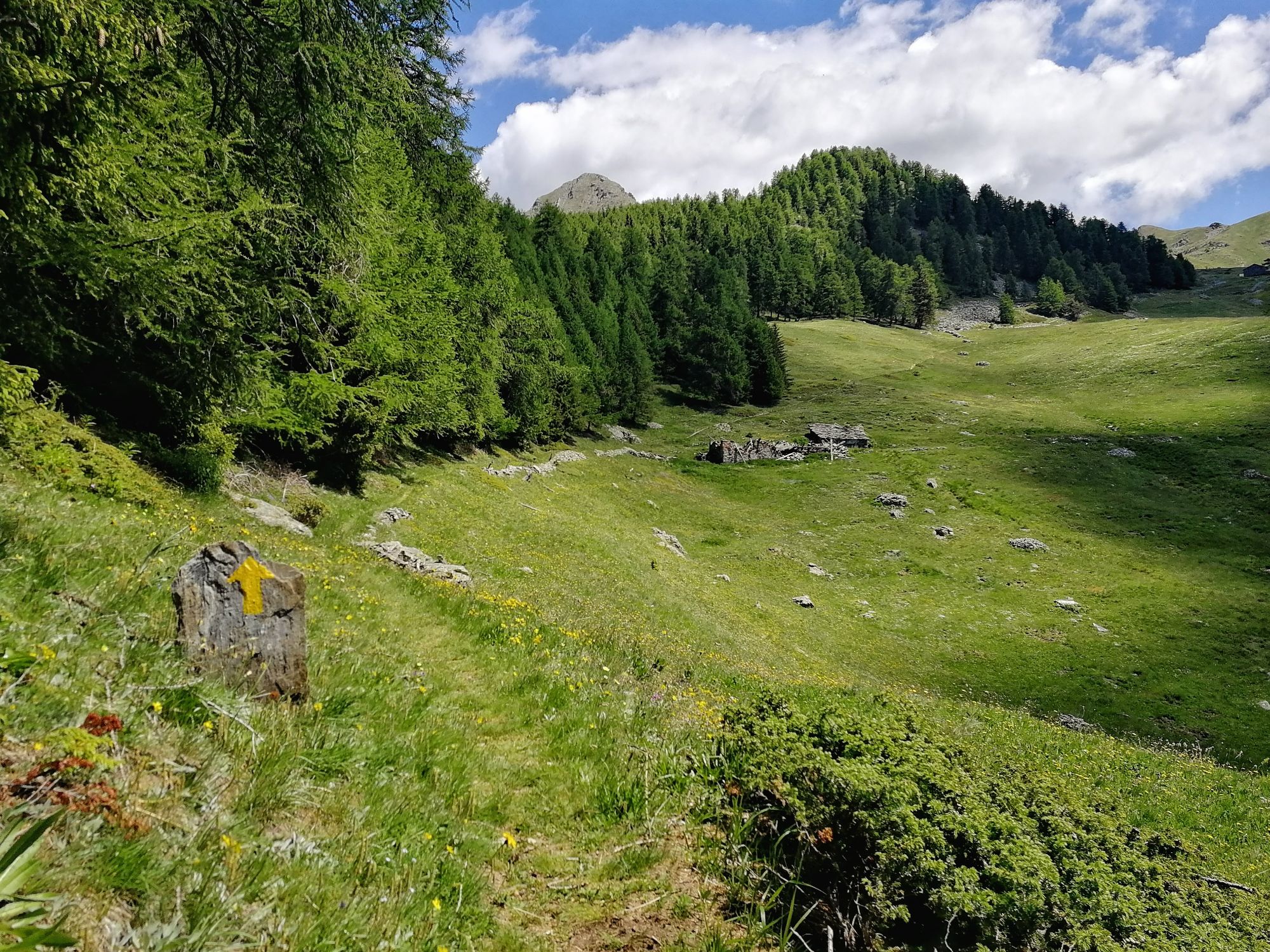 Natural Enduro Zerbion