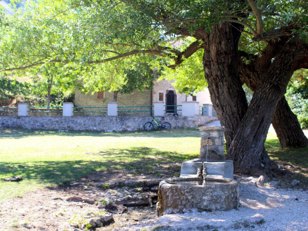 Immagine descrittiva per percorso