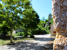 Immagine descrittiva per percorso