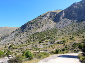 Immagine descrittiva per percorso