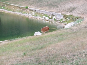 Immagine descrittiva per percorso