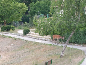 Immagine descrittiva per percorso