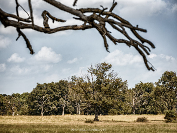 Immagine descrittiva per percorso