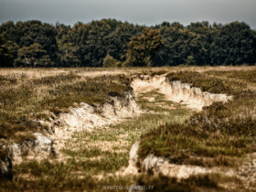 Immagine descrittiva per percorso