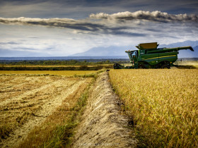 Immagine descrittiva per percorso