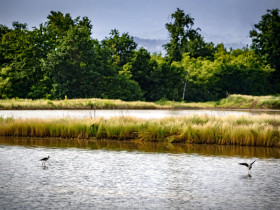 Immagine descrittiva per percorso