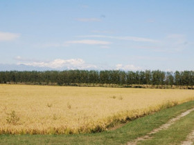 Immagine descrittiva per percorso