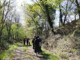 Immagine descrittiva per percorso