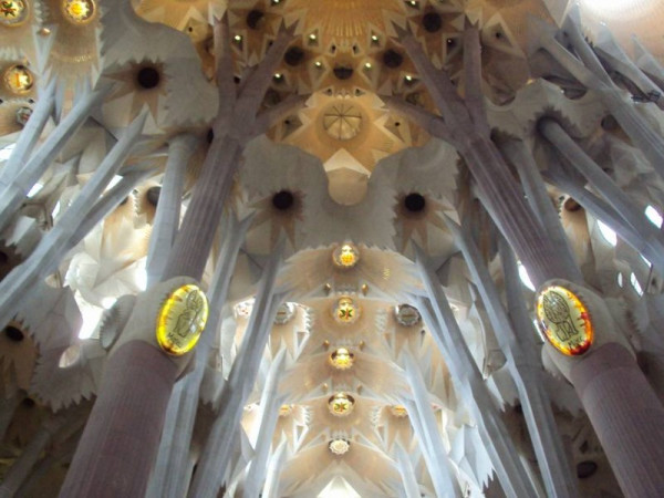 Immagine descrittiva per percorso