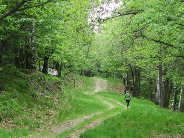 Immagine descrittiva per percorso