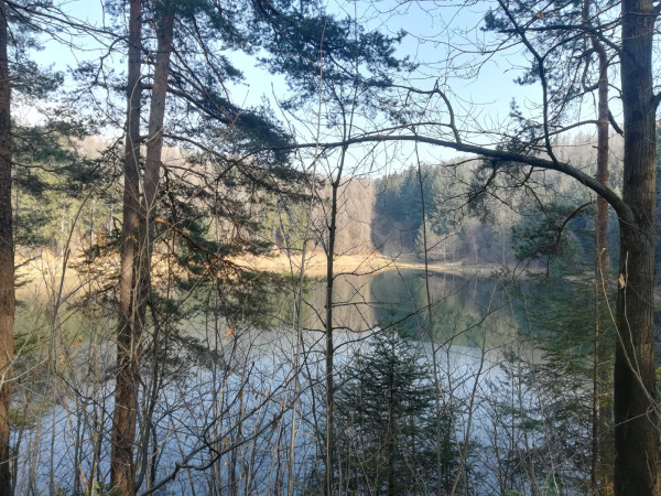 Immagine descrittiva per percorso