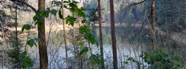 Immagine descrittiva per percorso