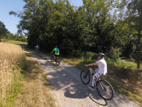 Immagine descrittiva per percorso