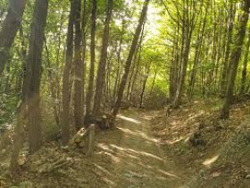 Immagine descrittiva per percorso