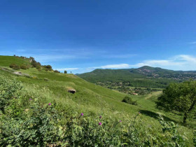 Immagine descrittiva per percorso