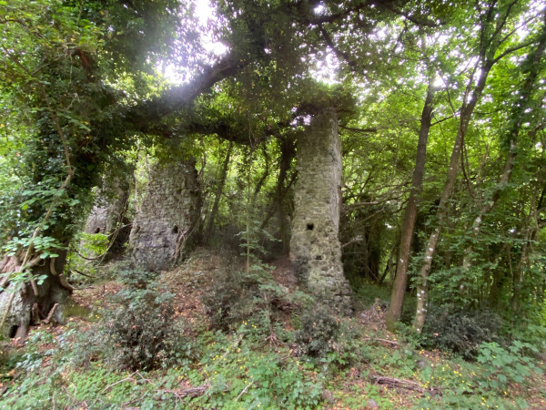 Immagine descrittiva per percorso