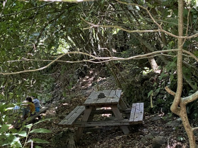 Immagine descrittiva per percorso