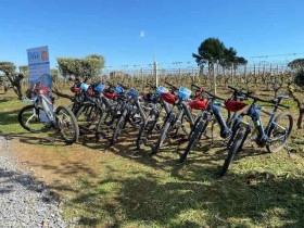 Immagine descrittiva per percorso