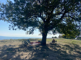 Immagine descrittiva per percorso