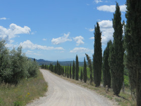 Immagine descrittiva per percorso