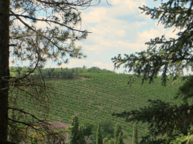 Immagine descrittiva per percorso