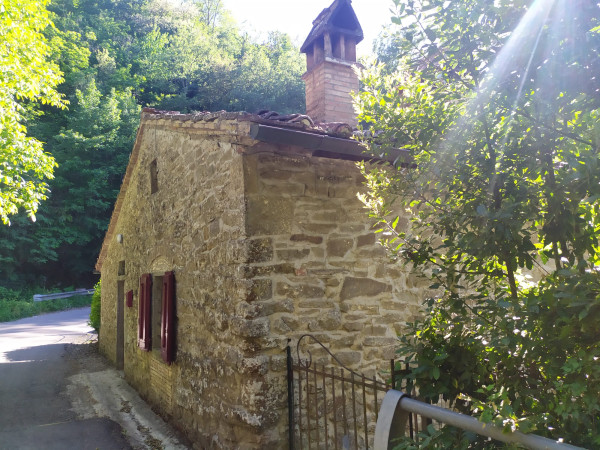 Immagine descrittiva per percorso