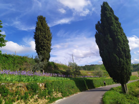 Immagine descrittiva per percorso