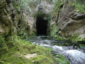 Immagine descrittiva per percorso