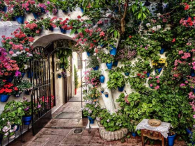 Immagine descrittiva per percorso