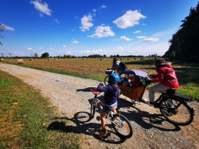 Immagine descrittiva per percorso