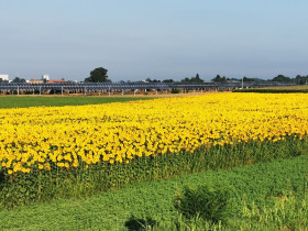 Immagine descrittiva per percorso