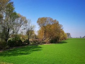 Immagine descrittiva per percorso