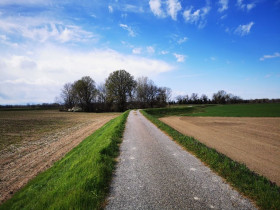 Immagine descrittiva per percorso