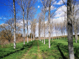 Immagine descrittiva per percorso