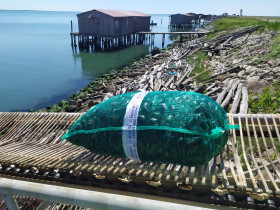 Immagine descrittiva per percorso