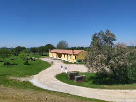 Immagine descrittiva per percorso