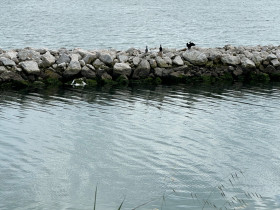 Immagine descrittiva per percorso