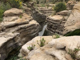 Immagine descrittiva per percorso