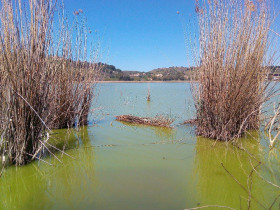 Immagine descrittiva per percorso